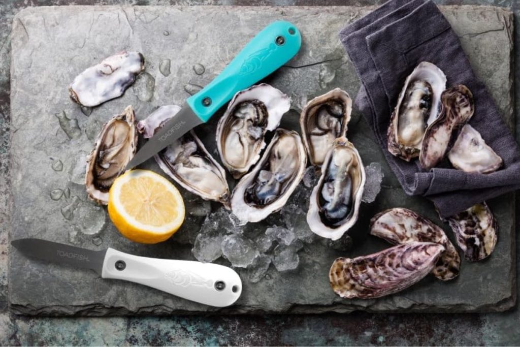 Toadfish-oyster-knife-.jpeg