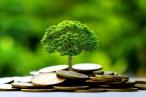 Planai galėtų atlaisvinti 100 mln. svarų sterlingų finansavimą aplinkosaugos projektams