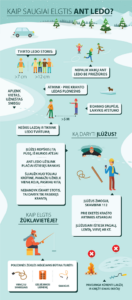 Kauno miesto savivaldybė Rekomendacijos gyventojams dėl saugaus elgesio ant ledo